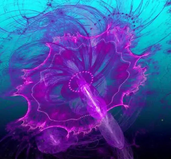 ˮĸ���ͺ�ˮһ��