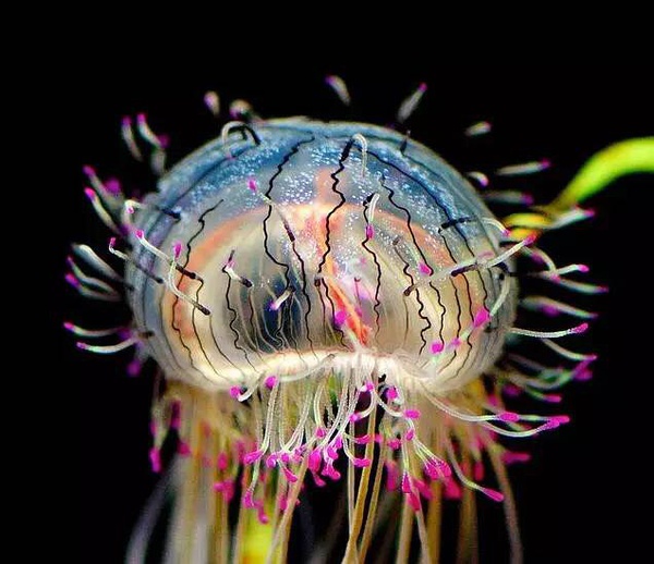 ˮĸ���o�X��|��